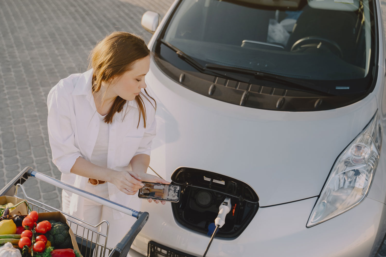 handel-hotels-und-co-shopping-woman-charging